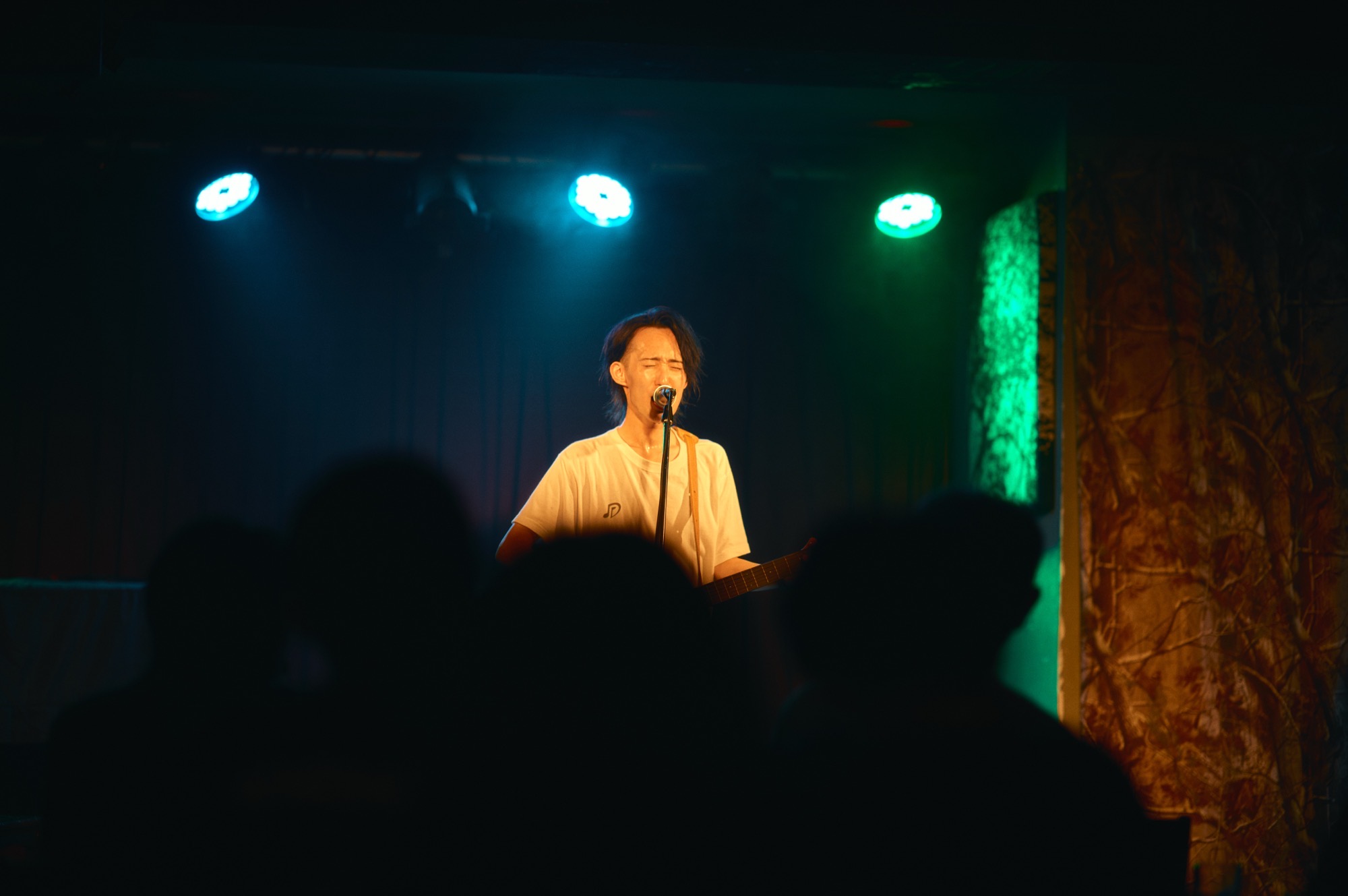 山 ライブ写真 1