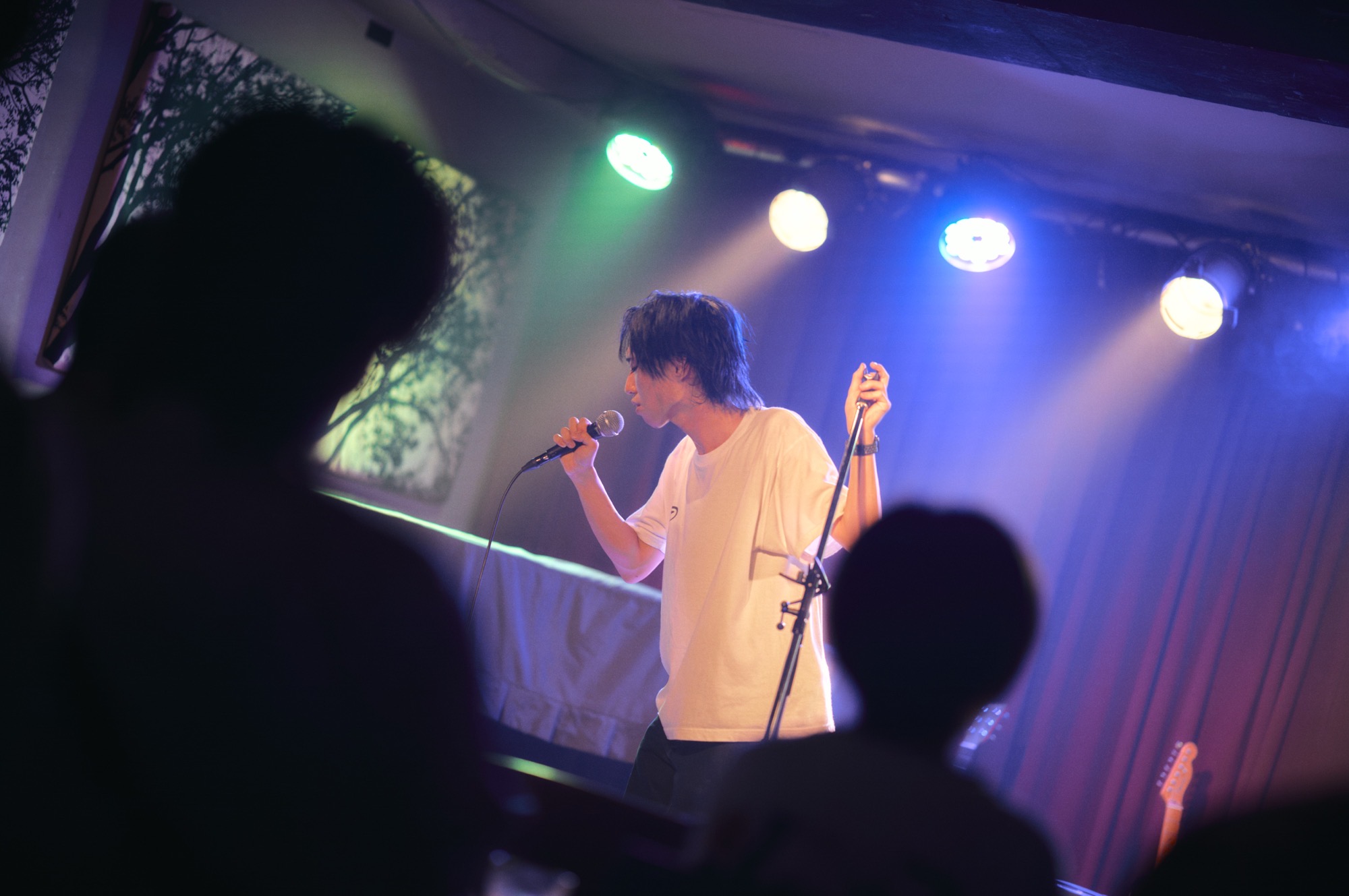 ささくれ ライブ写真 1
